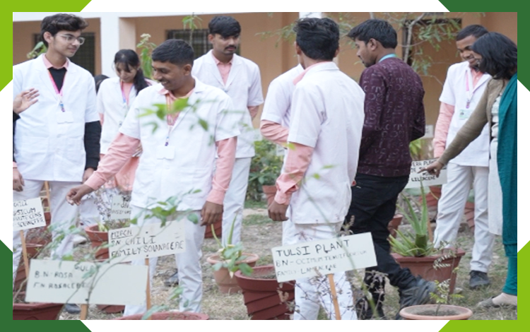 Oriental Medicinal garden